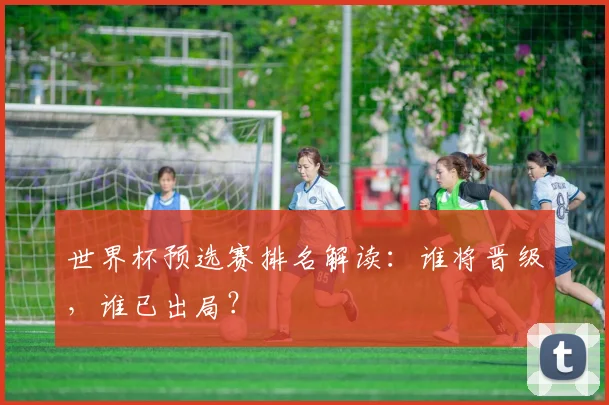 世界杯预选赛排名解读：谁将晋级，谁已出局？