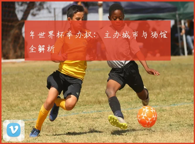 年世界杯举办权：主办城市与场馆全解析