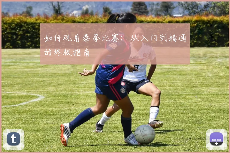 如何观看泰拳比赛：从入门到精通的终极指南