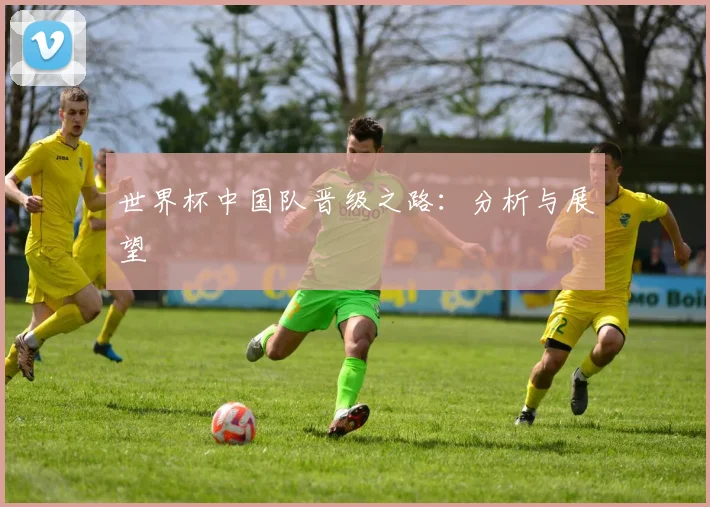 世界杯中国队晋级之路：分析与展望